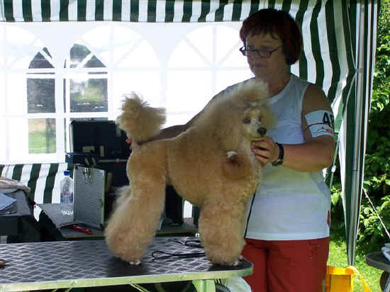 31-Arwen Juli 06 Uelzen..jpg (70179 Byte)